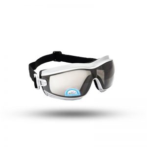 SAFETY GOGGLES VAULTEX V252